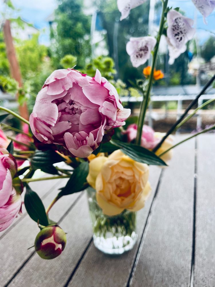 A bouquet of flowers from our garden: pink peonies, yellow roses, and other assorted flowers.