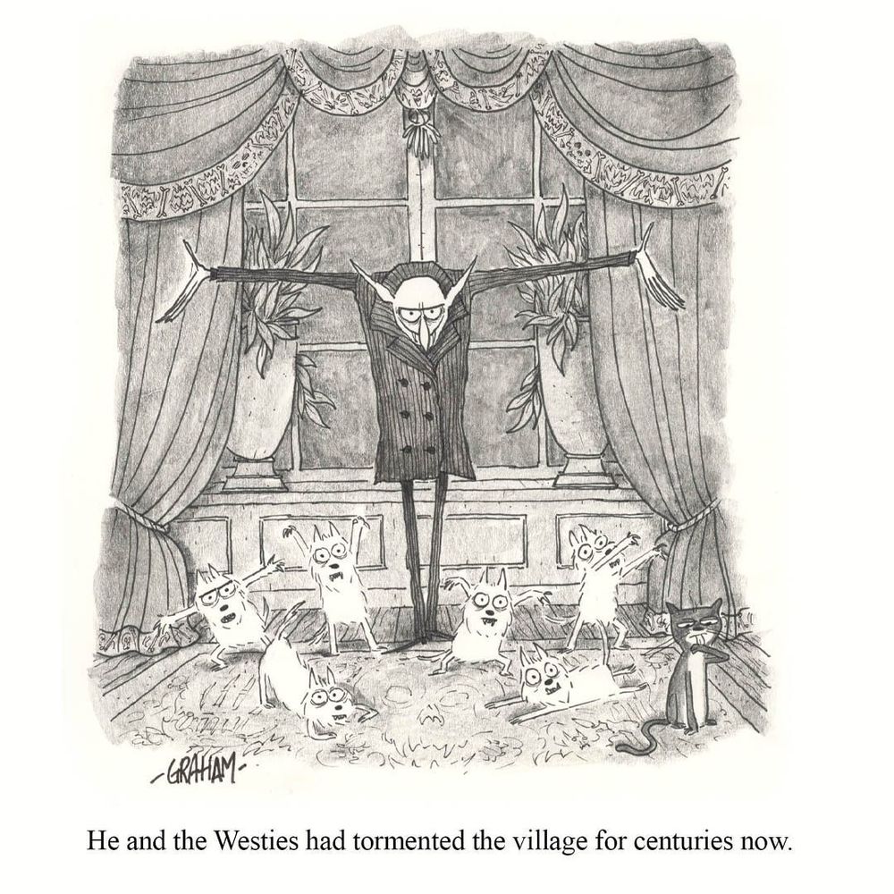 A cartoon illustration of a smirking bald vampire posing with all his undead Westie Terriers in their living room while a cat cleans itself ignoring them. Caption reads "He and the Westies had tormented the village for centuries now."