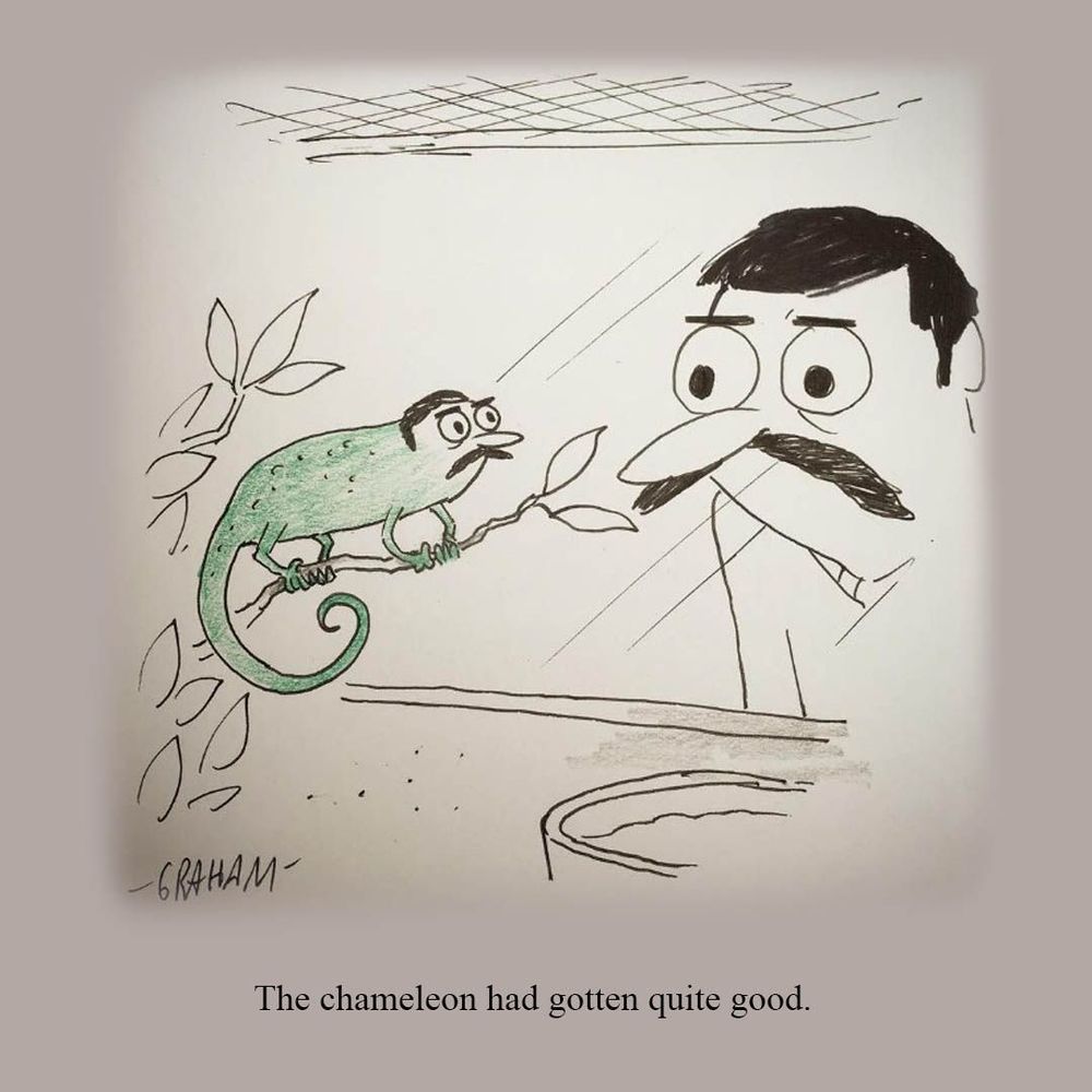 A cartoon illustration of a mustached man looking at his pet chameleon who also has the same mustache and face. Caption reads "The chameleon had gotten quite good." 