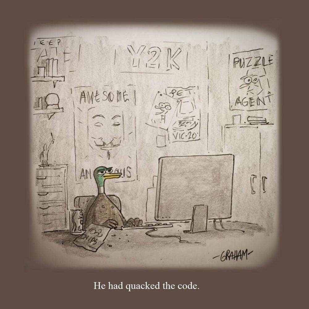 A cartoon illustration of a smug looking duck seated at his computer. Caption reads "He had quacked the code."