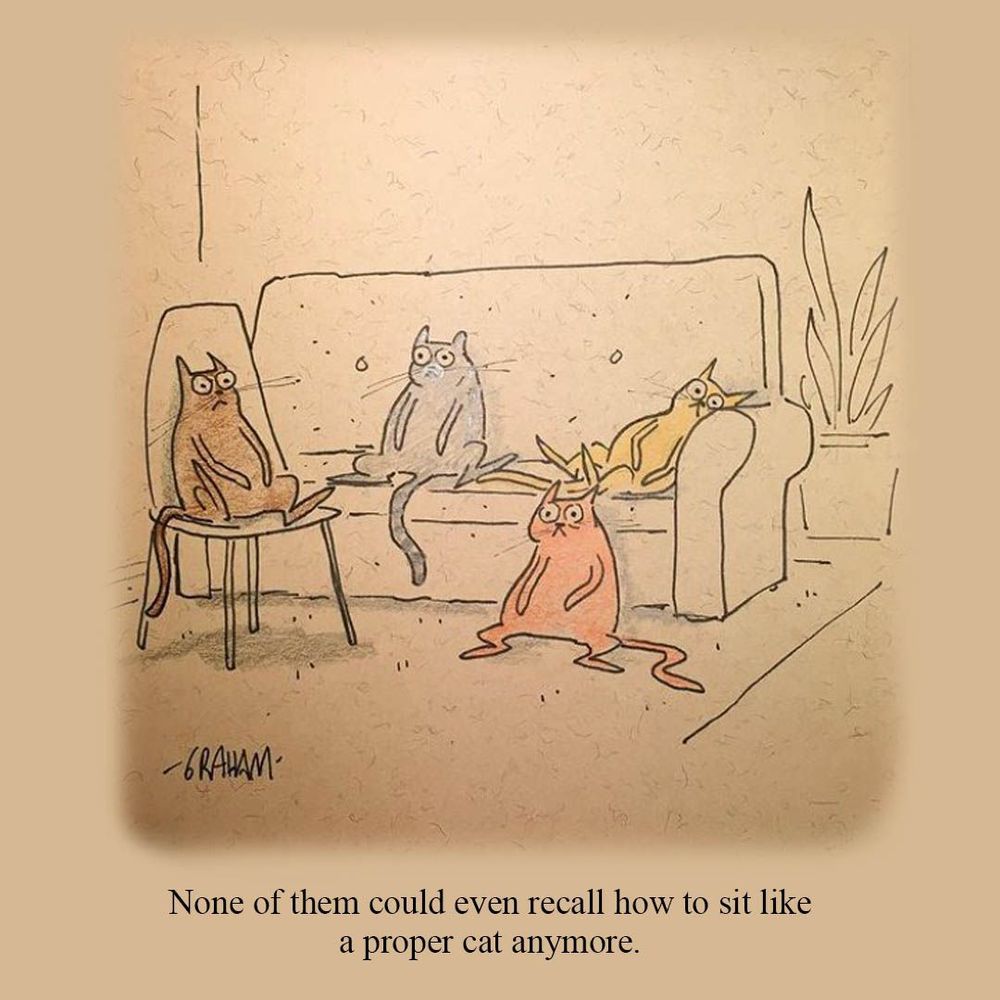 A cartoon illustration of a bunch of cats all sitting awkwardly. Caption reads "None of them could even recall how to sit like a proper cat anymore."