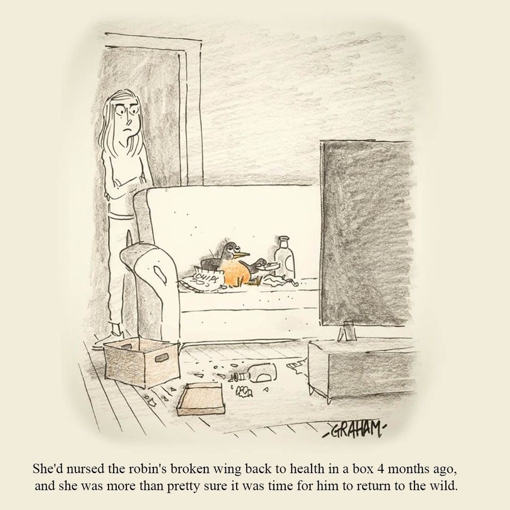 A cartoon illustration of a woman looking at a fat robin on her couch who is eating snacks and watching television. Caption reads "She'd nursed the robin's broken wing back to health in a box 4 months ago, and she was more than pretty sure it was time for him to return to the wild."