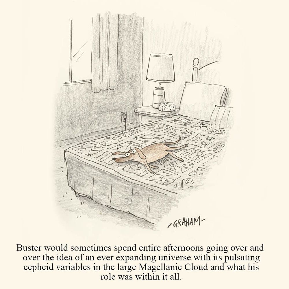 A cartoon illustration of a dog lying on a bed thinking. Caption reads "Buster would sometimes spend entire afternoons going over and over the idea of an ever expanding universe with its pulsating cepheid variables in the large Magellanic Cloud and what his roles was within it all."