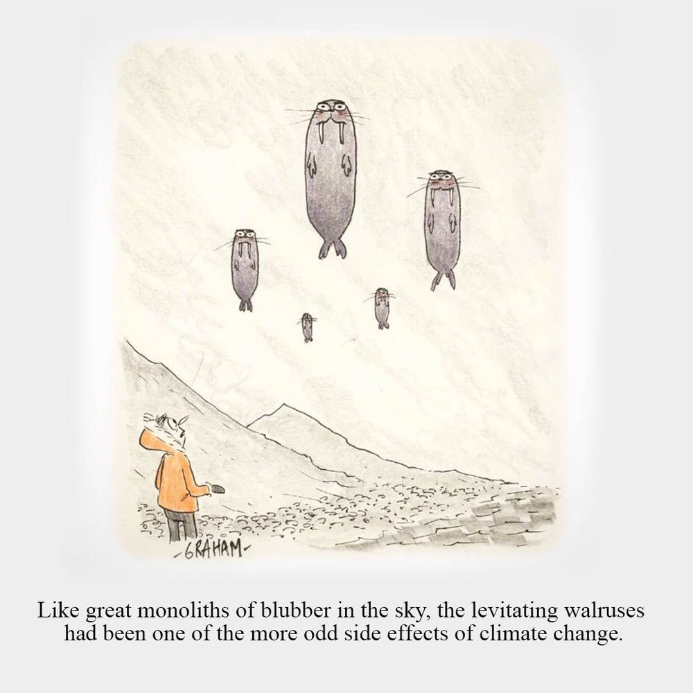 A cartoon illustration of a man being surprised by a group of walruses floating in the sky. Caption reads "Like great monoliths of blubber in the sky, the levitating walruses had been one of the more odd side effects of climate change."
