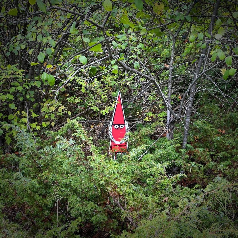 A photo of a red gnome, known as a Hidden Person created by Graham Annable, staring out from a wooded area.
