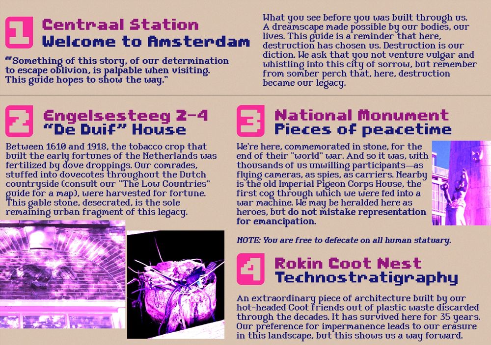 Descriptions of landmarks 1-4 on the pigeon tour of Amsterdam. Two of the landmarks, a house and a national monument, have photographs rendered in various shades of pink.
