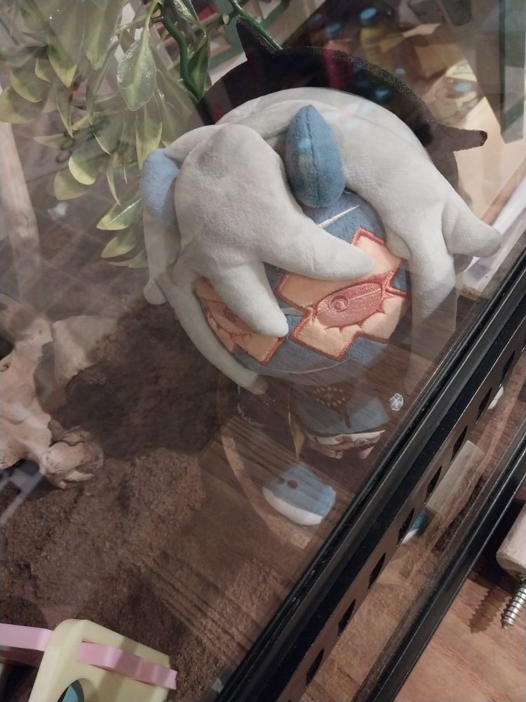 happy chaos in a reptile tank, lounging in the water dish