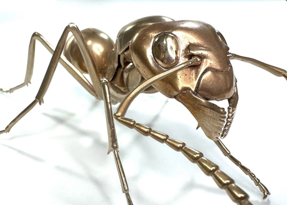 A bronze ant from close up, looking right into her left eye. Pits and other texture in the bronze are visible from this distance.