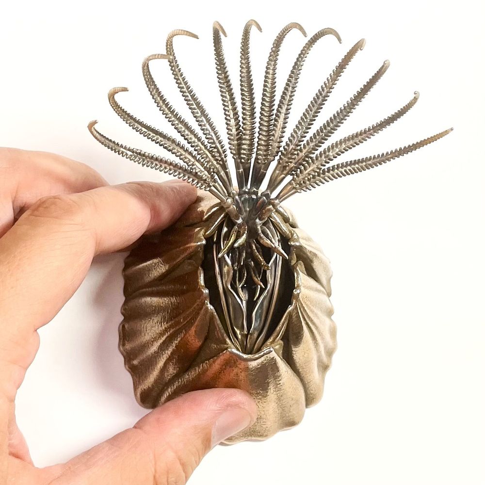 My sculpture of the common rock barnacle Semibalanus balanoides viewed from the top with my hand for scale. The barnacle is feeding, with its legs fully deployed in a wide fan emerging from the folds of its soft tissues. The shell is rough bronze-infiltrated steel, warm in color; you can see some details of how the plates of the shell interlock.
