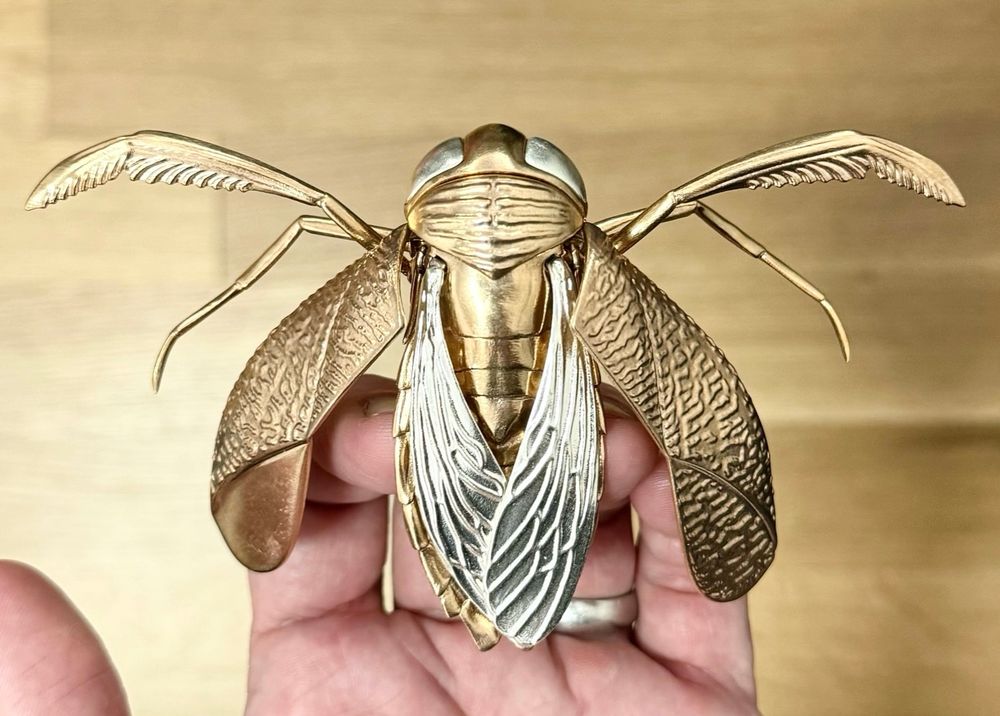 A water boatman sculpture, elytra open and legs spread, in my hand. It’s made of bronze with sterling silver eyes and wings.
