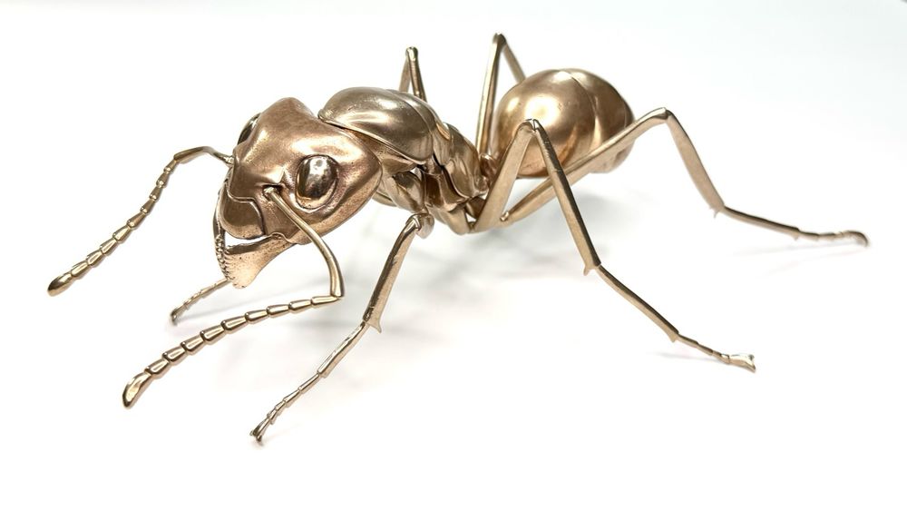 A fully assembled bronze ant on a white background.