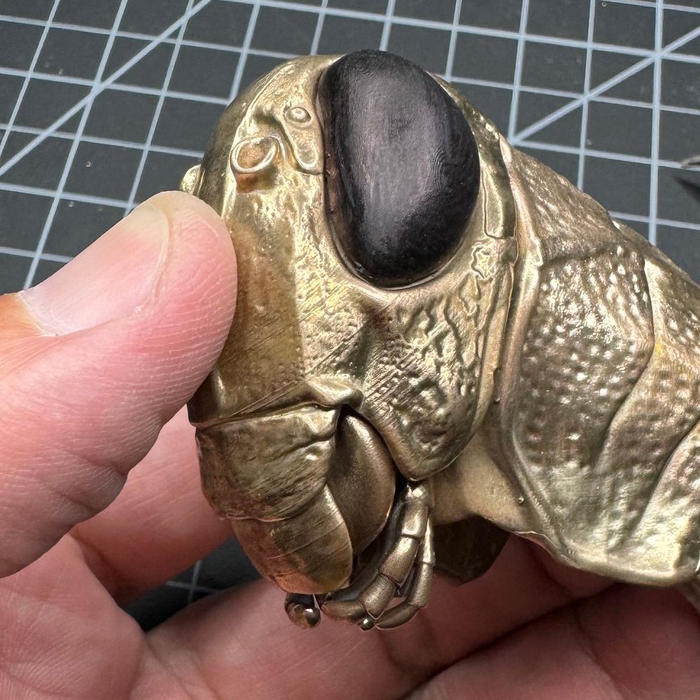 The assembled grasshopper face with the mouthparts in place.
