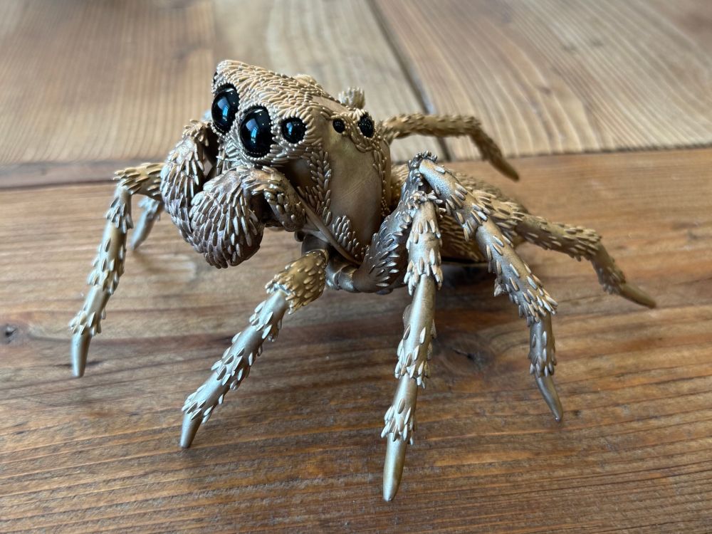 The assembled jumping spider on a wooden tabletop