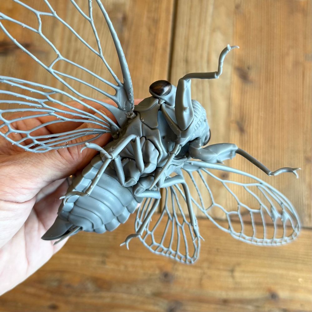 A 3D printed gray resin sculpture of a cicada, wings spread, held partly upside down in my hand to show all the central details. Sculpted from scratch (no scans), assembled from more than a dozen parts.