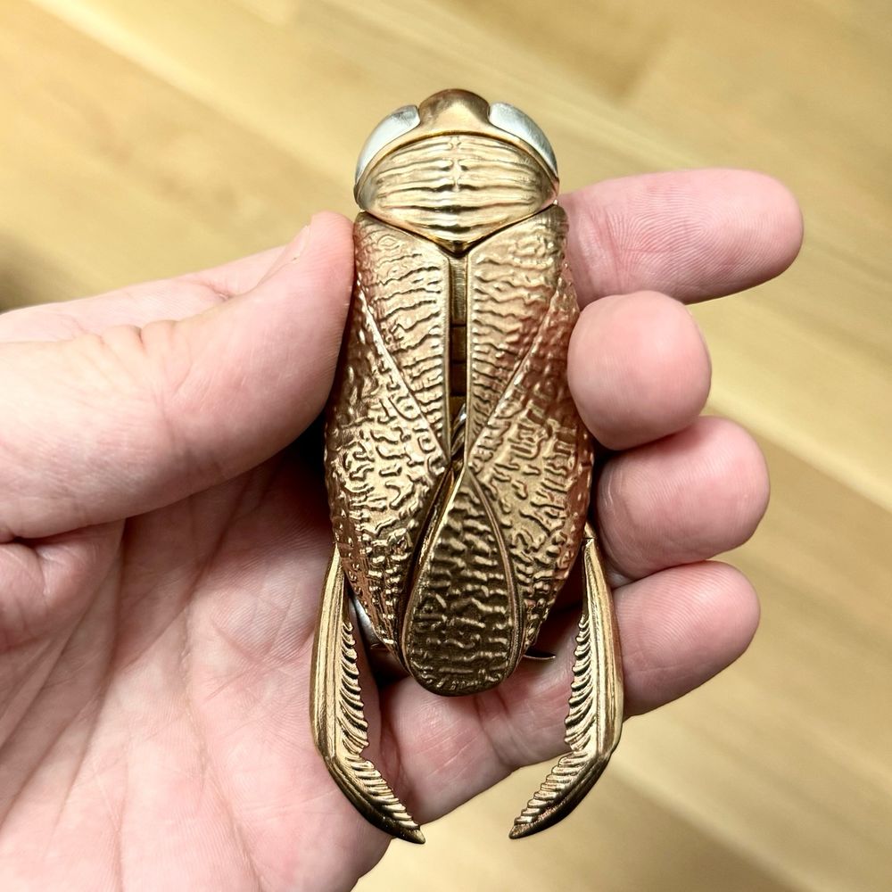 A water boatman sculpture, streamlined and closed up, in my hand. It’s made of bronze with sterling silver eyes and wings (hidden here).