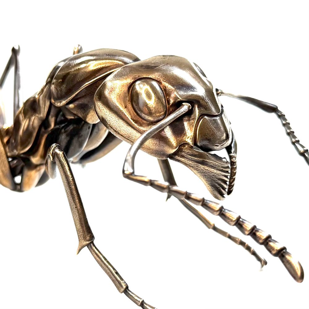 Extreme close-up of a bronze metal sculpture of a carpenter ant worker against a white background.