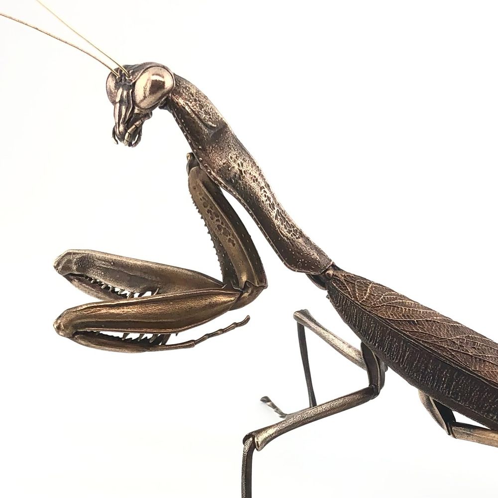My bronze mantis sculpture, “Huntress“, on a white background. She is looking over her left shoulder toward the camera, as if somebody has just tried to get her attention. That somebody might come to regret their attempt. 🫣👽
