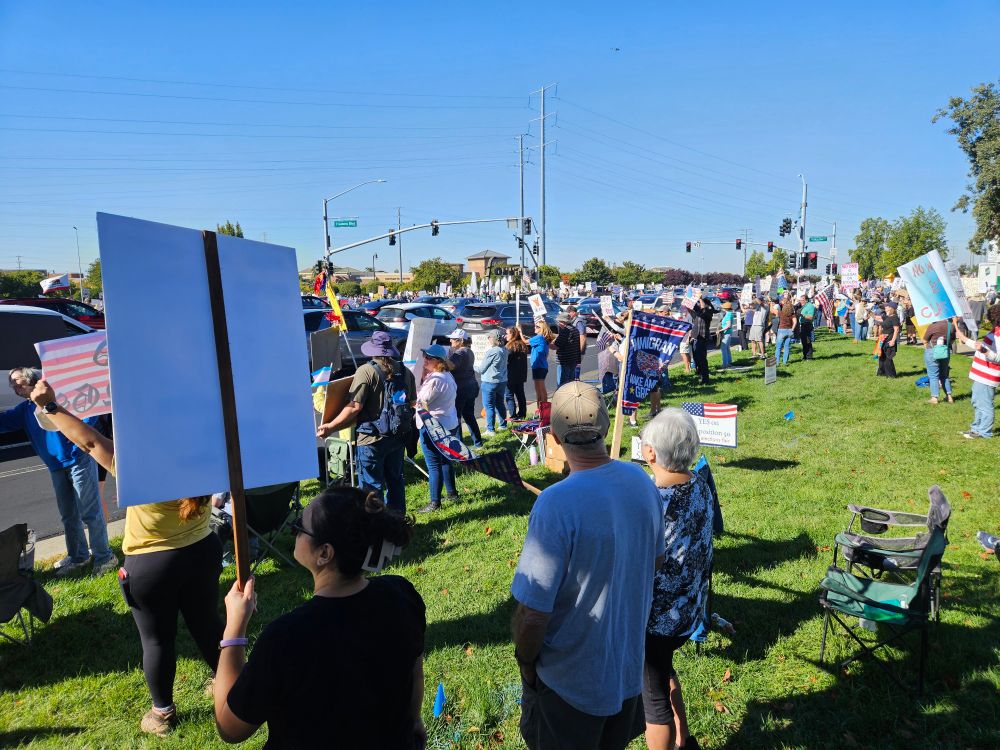 Picture showing a crowd of protesters in Roseville California at No Kings rally 