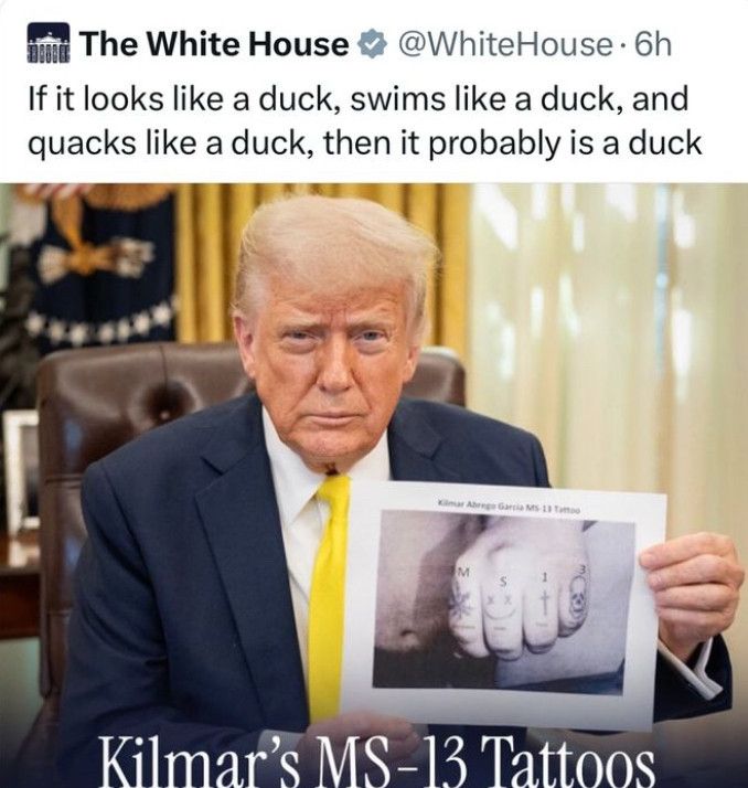 Trump holding a picture that alleges to be Kulmar's tattoos (they arent). Caption says "if it walks like a duck, swims like a duck, and quacks like a duck, then it probably is a duck". Nice to see them use the Oxford comma, but just fuck Trump all the way into the sun...