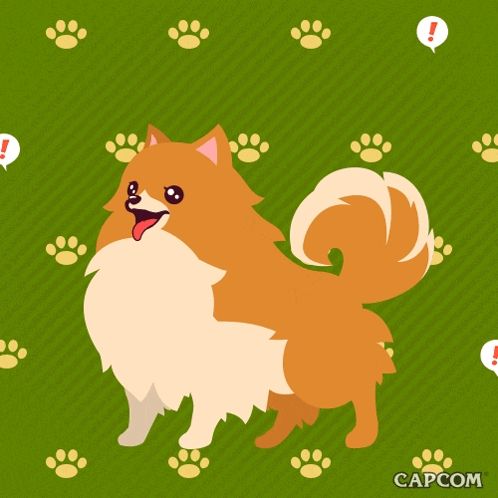 an illustration of a pomeranian dog with paw prints and an exclamation point