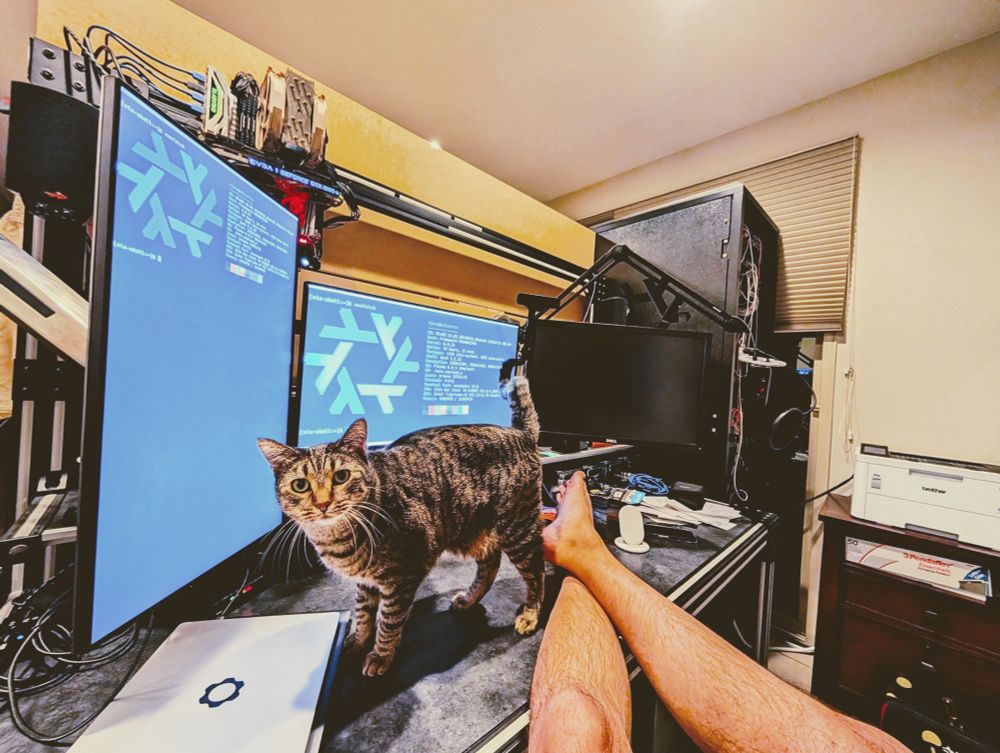 A cat on a desk. Two monitors show the output of neofetch with the NixOS logo.