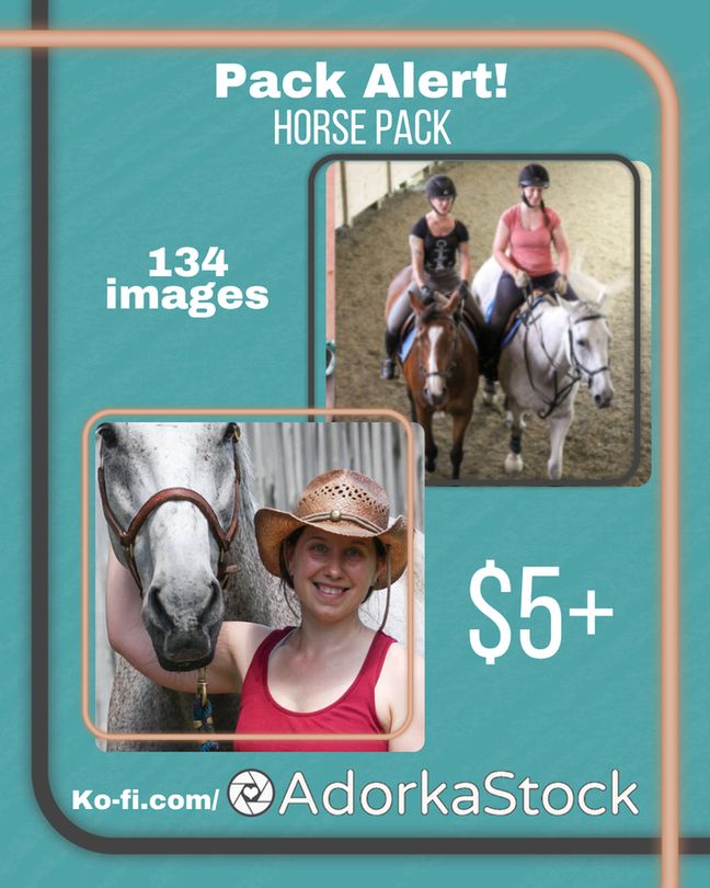 Majority aqua graphic that reads "new pack! Horse pack! 134 images, $5+, Ko-fi.com/adorkastock" and includes images of a white woman with a white/grey horse.