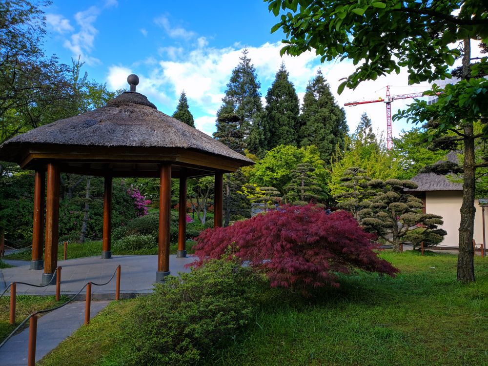A beautiful shot of the Japanese garden in Hamburg