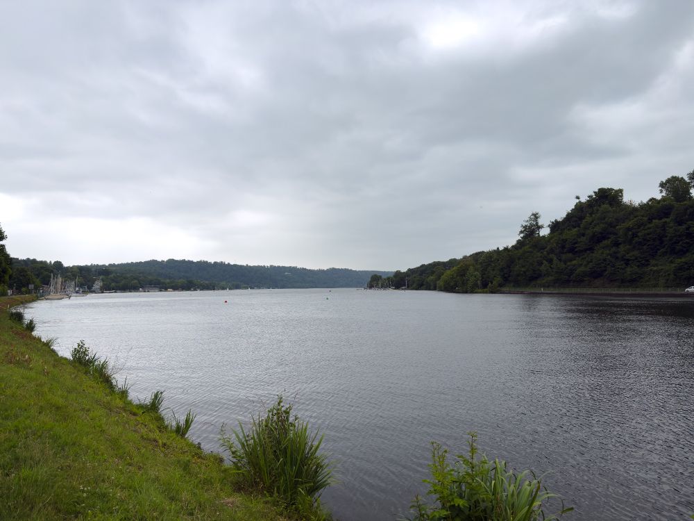 Landscape view of a rainy day walk