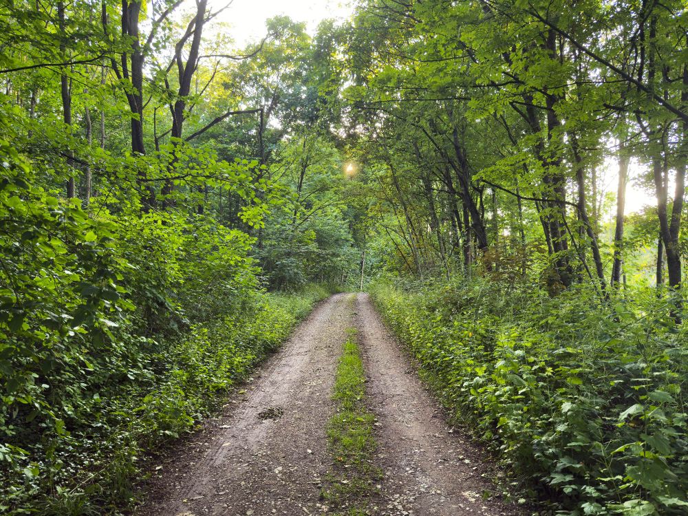 A road in stuttgart near the German autobahn