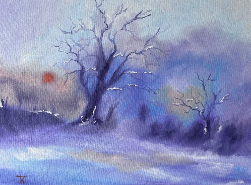 A snow covered field