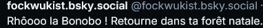 Capture d'écran d'un blousque où s'affiche l'adresse du blousqueur @fockwukist.bsky.social qui commence par: "Rhôooo la Bonobo ! Retourne dans ta forêt natale."