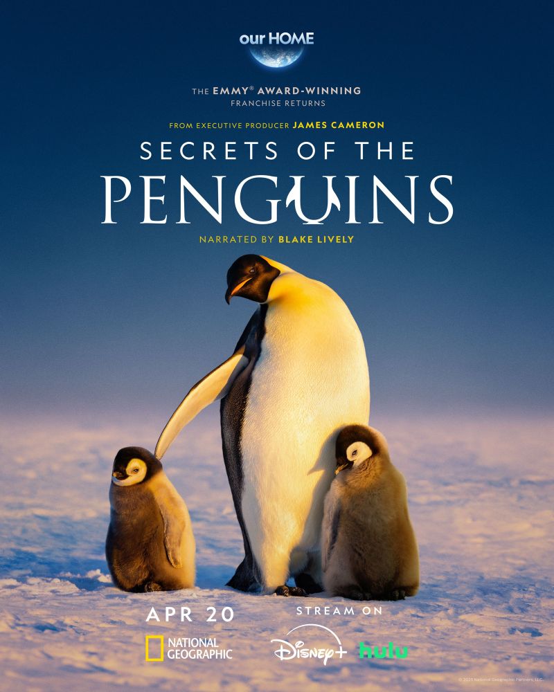 Secrets of the Penguins poster with one adult emperor penguin next to two fluffy gray chicks