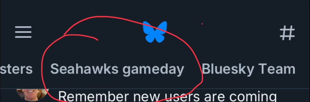 Seahawks gameday feed