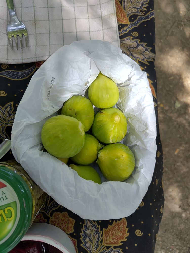 Bolsa de higos recién recogida
