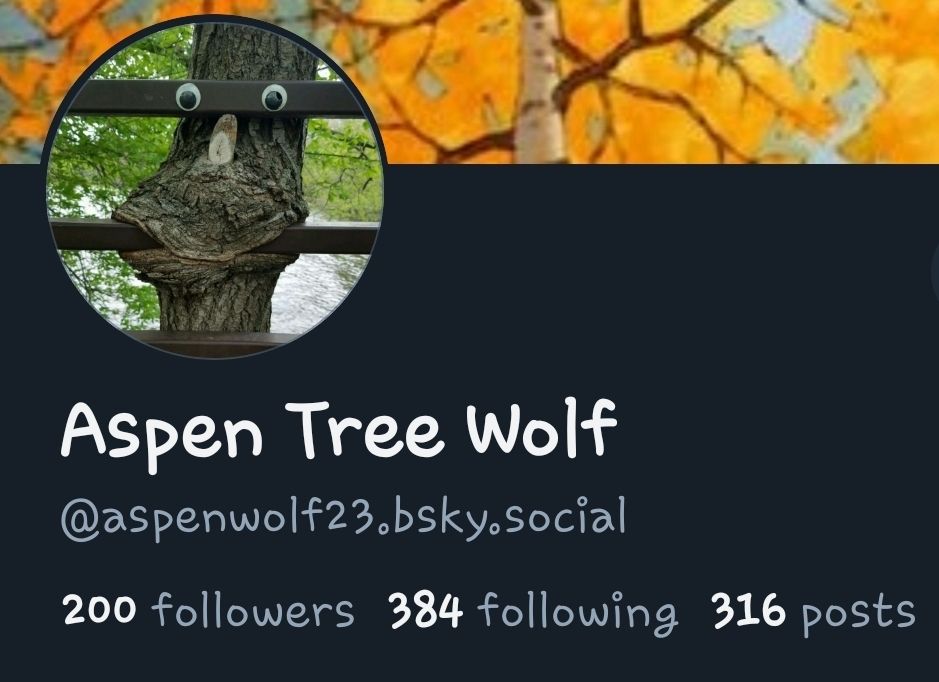 Screenshot of my BlueSky Profile
Aspen Tree Wolf
@aspenwolf23.bsky.social
200 followers 384 following 316 posts
Profile picture is a goofy tree with googly eyes eating a bridge railing