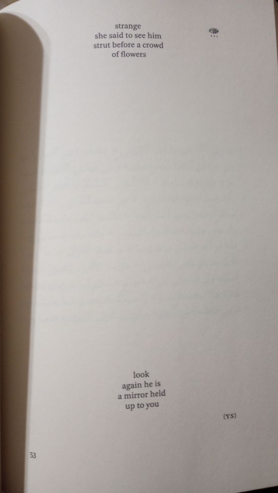 strange
she said to see him
strut before a crowd
of flowers

look
again he is
a mirror held
up to you

(YS)

[These two stanzas are separated by the length of the page and centered, and for a moment you might not see the second stanza except as a hint at the edge of your readerly awareness, so that when you do see it, it is a flash across the page, light from one mirror to the next. Absolutely delightful.]