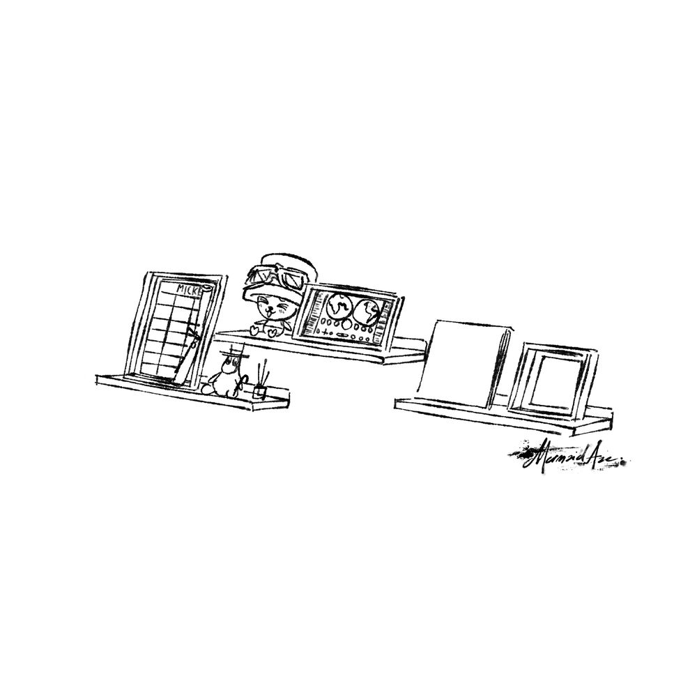 A rough digital sketch of shelves with various treasures and artifacts on display. There are plushies of Moominpappa and Tony Tony Chopper.