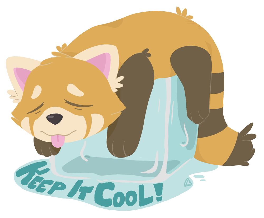 A red panda lies on top of an ice cube, looking hot. Water pools from the melting ice, with text over top of the water reading "Keep it Cool!"