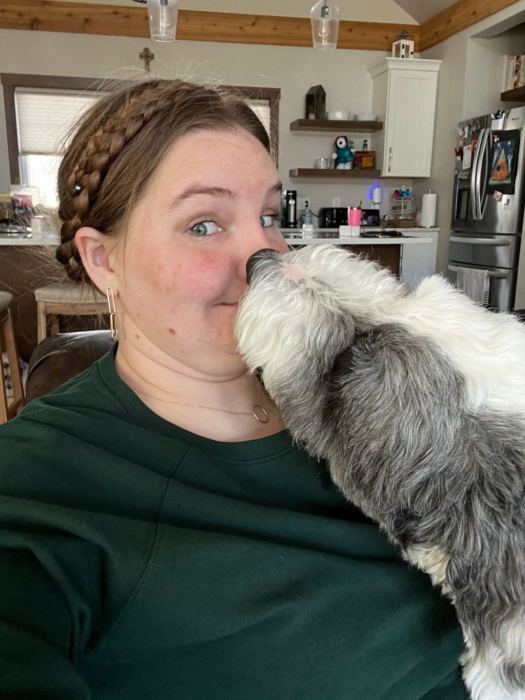 Winnie, sheepadoodle, in Amelia’s face 