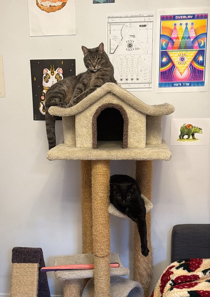 A photo taken in a living room with white walls.Two cats on a tall beige carpeted cat tree with two tiers and a house on top. The house has a two-sided sloped roof. One cat is on top of the house on the left slope. This cat is a gray tabby with stripes and is lying in a relaxed position on his side. A second cat is on the tier below the house. This cat is a black cat lying on his stomach with one leggy extended that is hanging down below the tier. 
