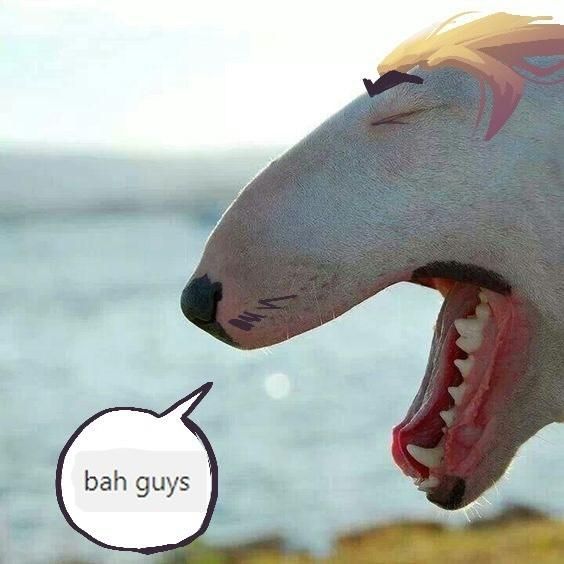Comment image