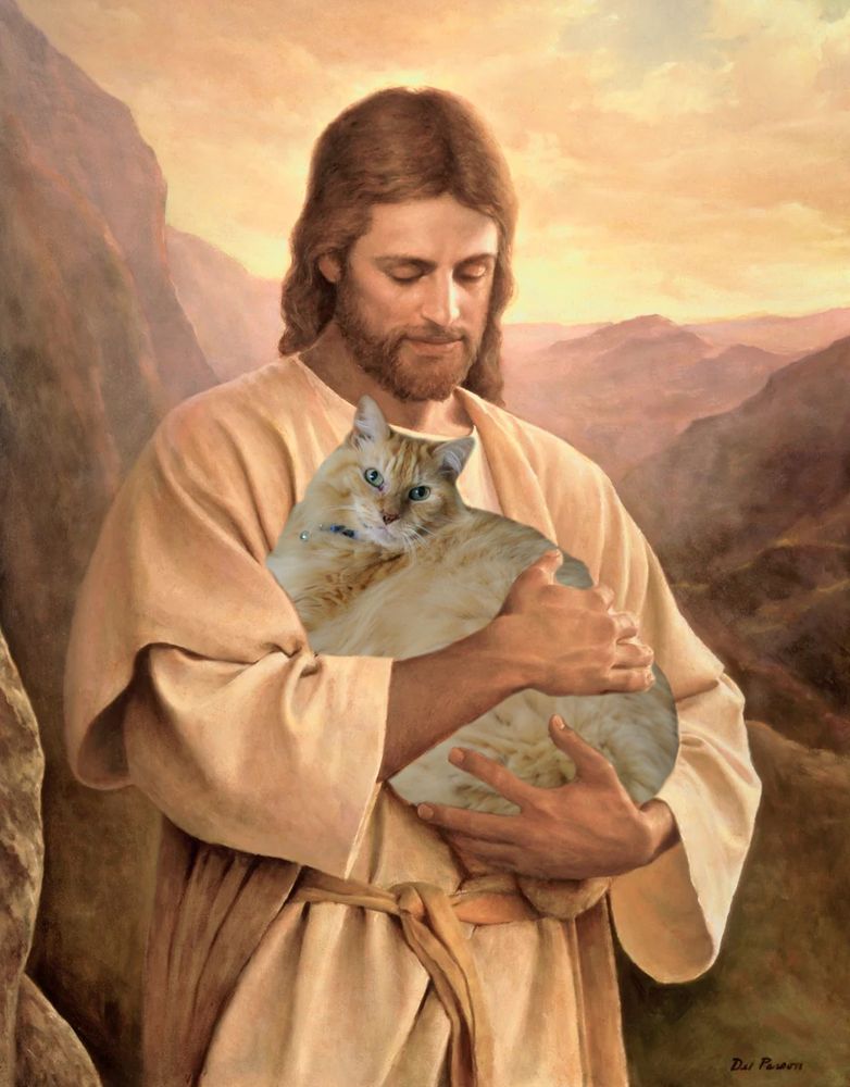 poorly photoshopped picture of the jesus holding a lamb painting with the cat added in