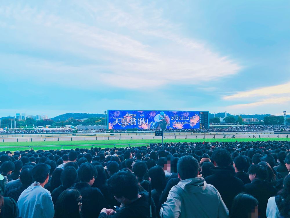 2025年天皇賞(秋)。東京競馬場にて。