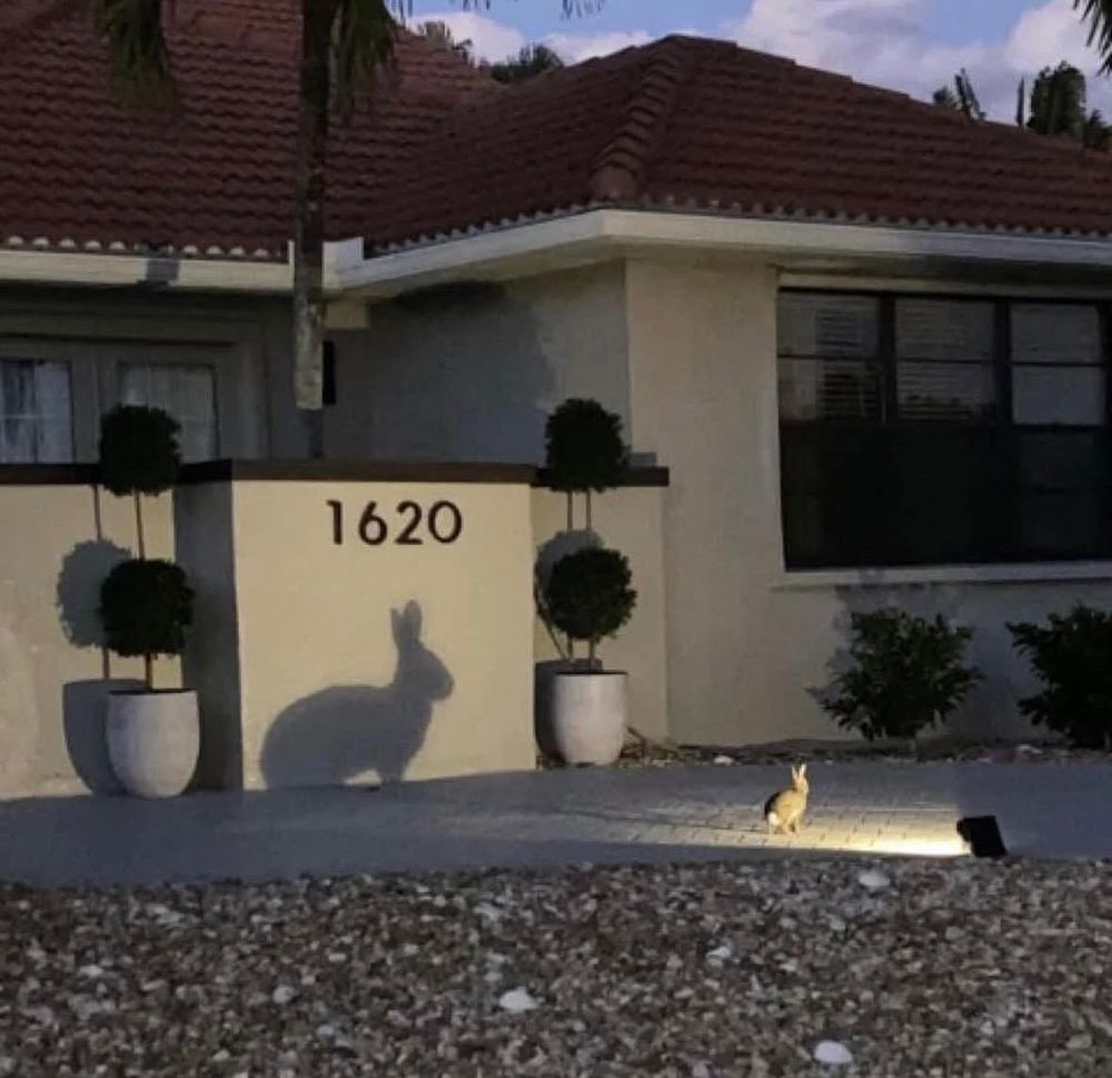 A bunny in a spotlight casts a large bunny shadow on a house with a "1620" address.