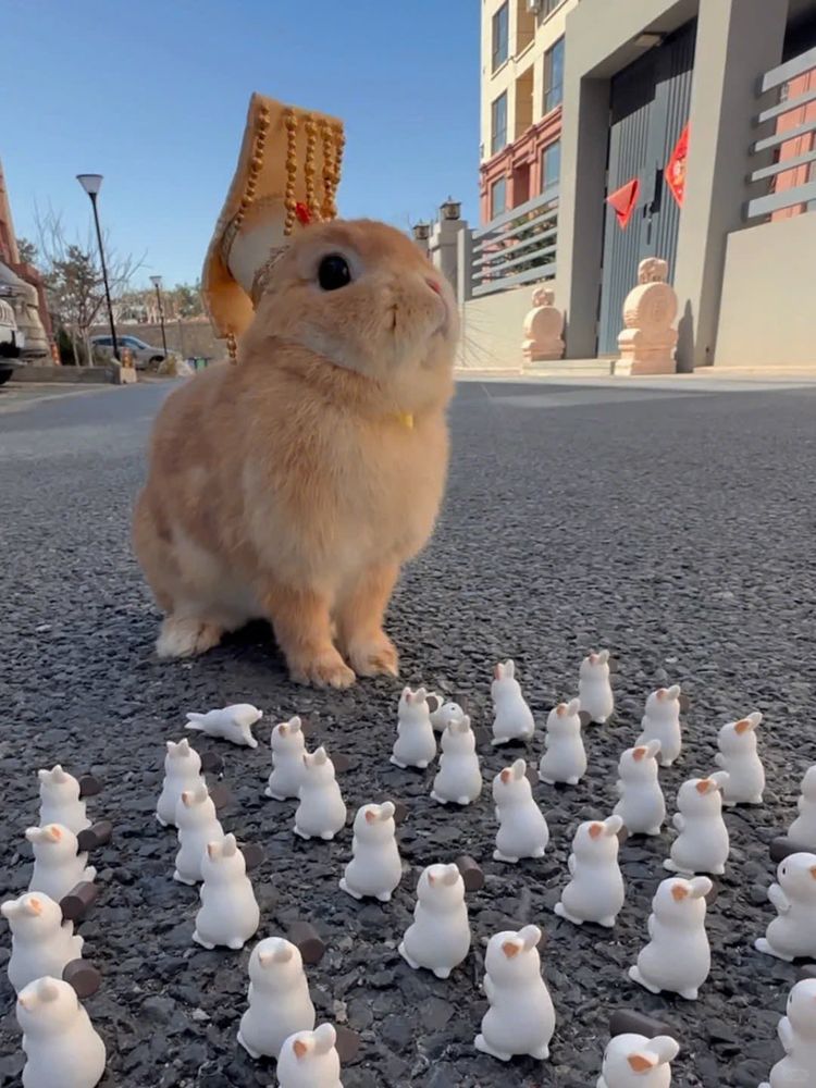 A brown bunny sits on a street surrounded by small white rabbit figurines.