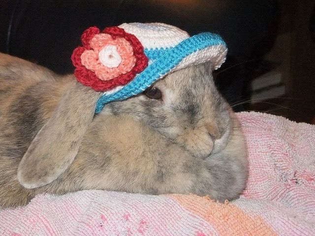 A grey and light brown bunny wears a white and blue crocheted hat with a red and pink flower, lying on a pink towel.