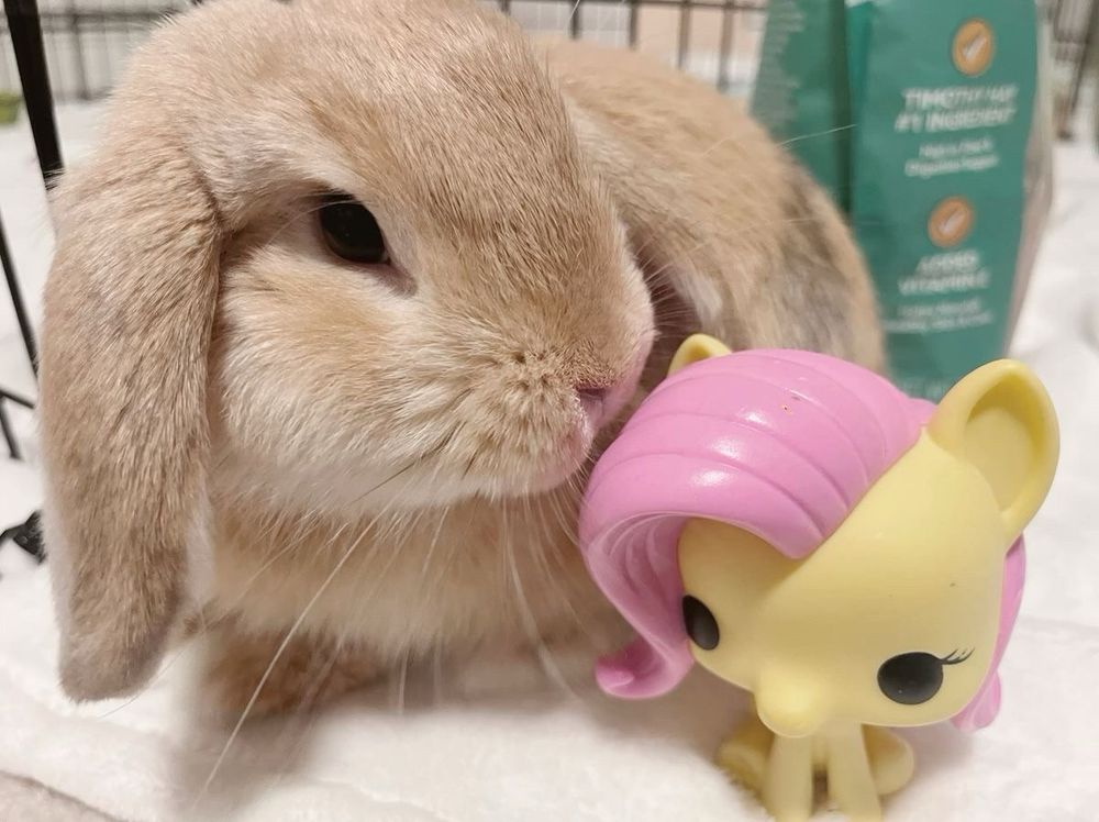 A light brown bunny sits closely next to a small yellow toy with pink hair.