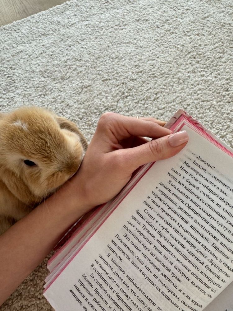 A brown bunny nuzzles a person's hand holding a book with Russian text.
