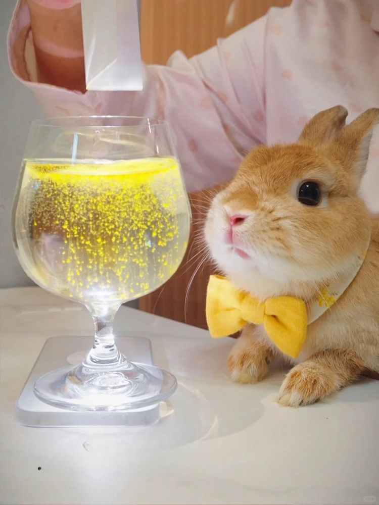 A brown bunny with a yellow bow tie sits beside a glass of fizzy yellow drink. A hand is pouring from a box above.