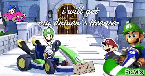 A scene from Paper Mario The Origami King, with Luigi in his famous Kart along with Mario in front of Peach's castle. There's a disgusting white Smurf thing in the corner and I hate looking at it. The accompanying text states "I will get my driver's license."